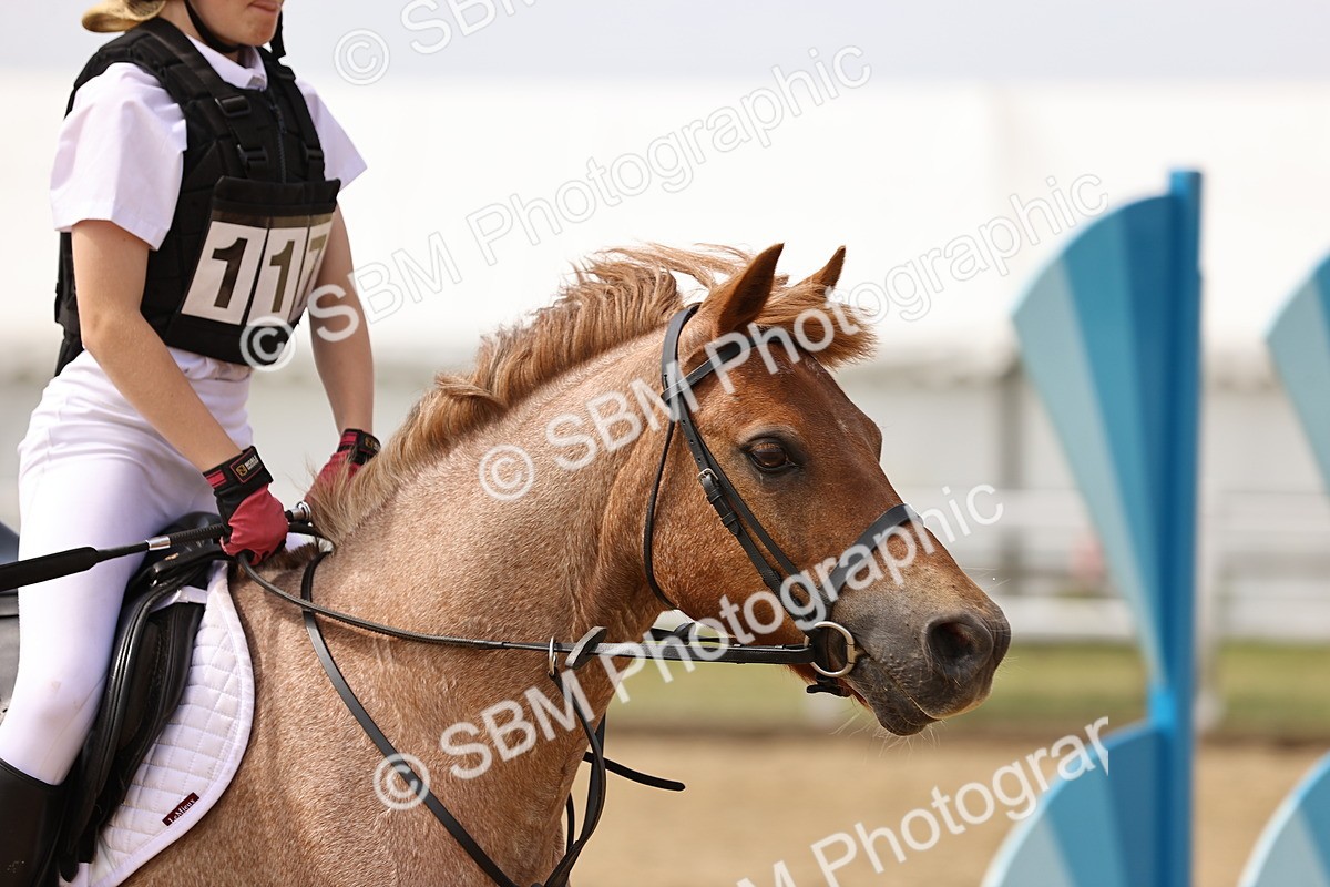 SBM_001655 - Class 2 - 50cm