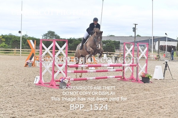 BPP_1524 - FRI CLASS 1 Club/ Unaffiliated 80cms Open