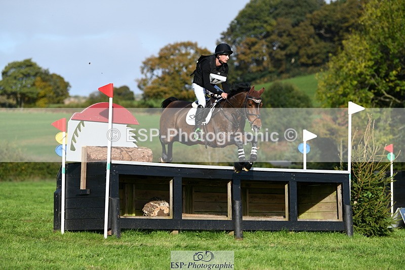 251024A-111757-07608 - A-017-Harrison.Chart