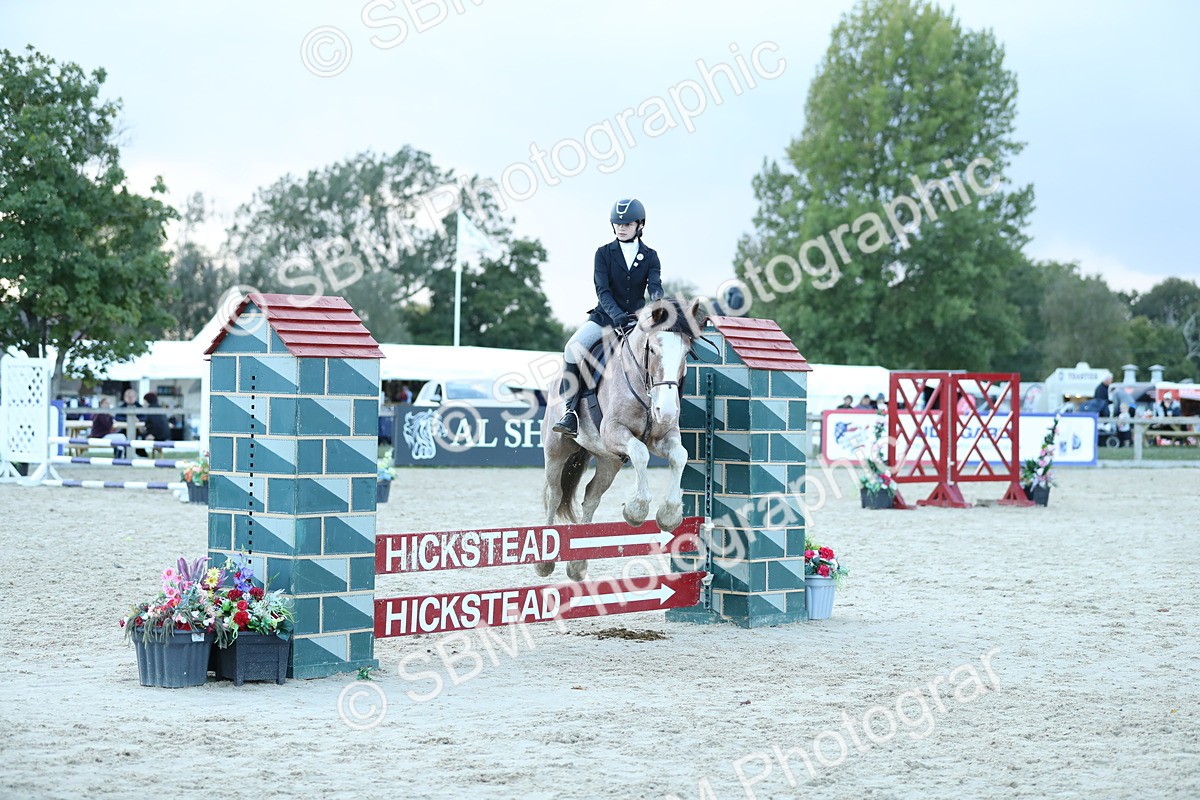 SBM_53670 - Supreme Championship 65cm 70cm
