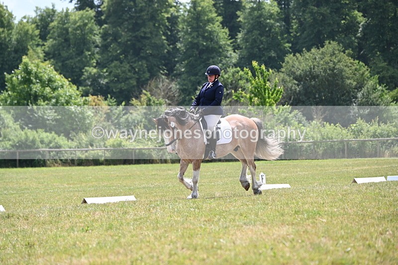 WJ6_7409 - Time 12:25 to 12:56