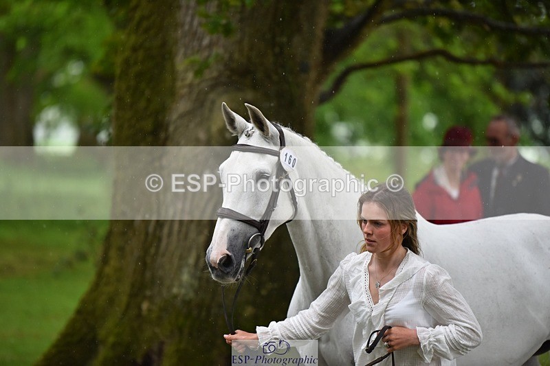 240522-161208-00777 - 160-WESTWOOD_II-Tara_Kay