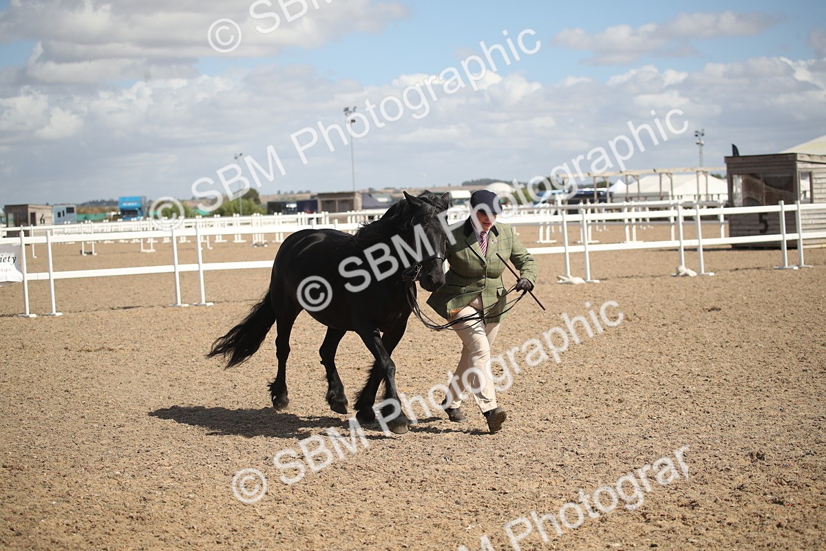 SBM_23128 - Class 606 - 2026 - Area - IH Pre Vet