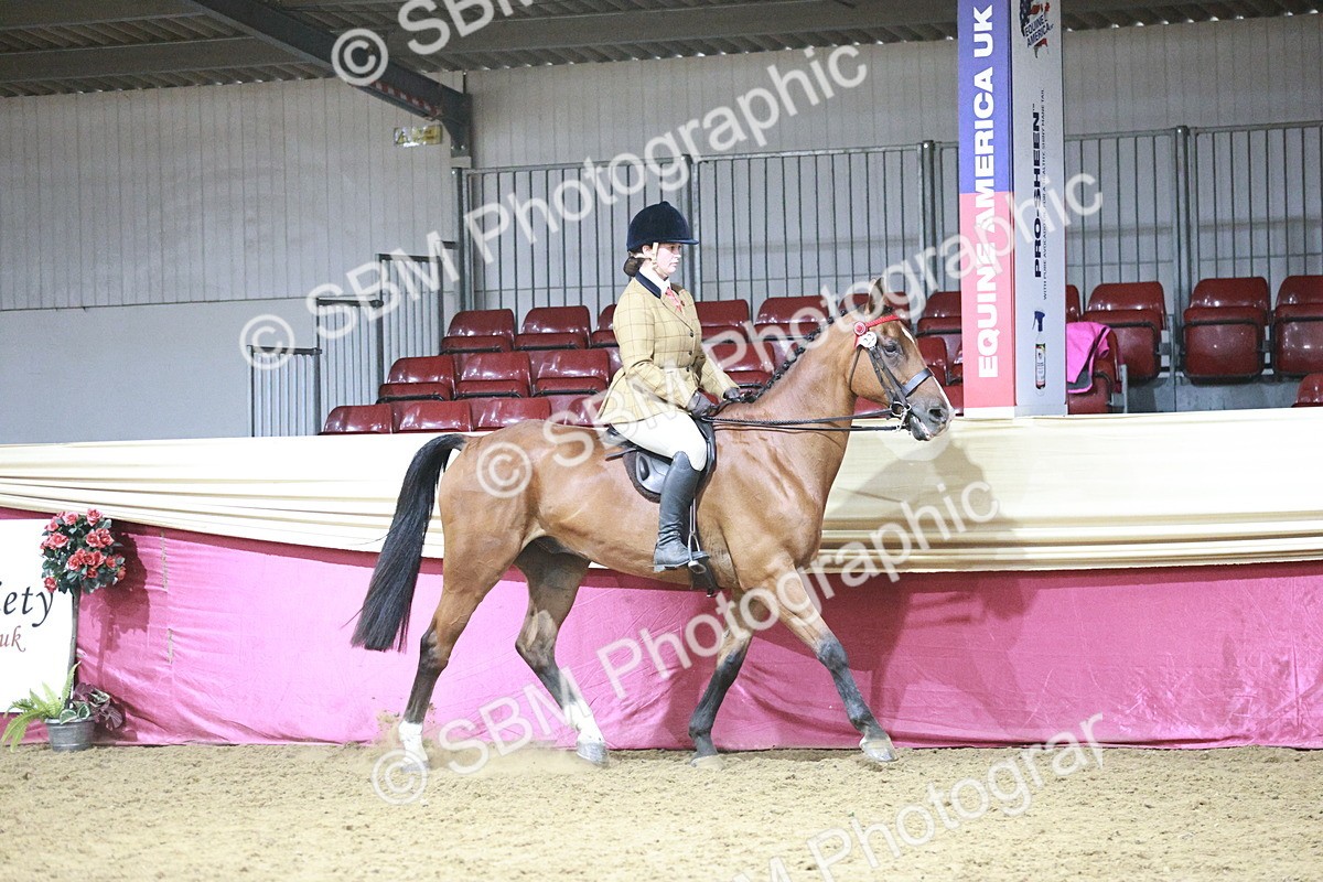 SBM_08040 - Class 11R - Regional Ridden Veteran