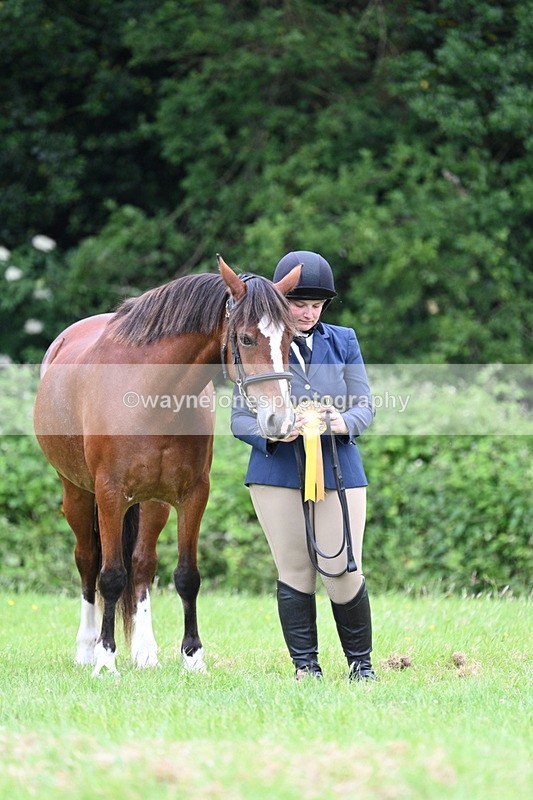 WJ7_4546 - Class 14B Prettiest Mare