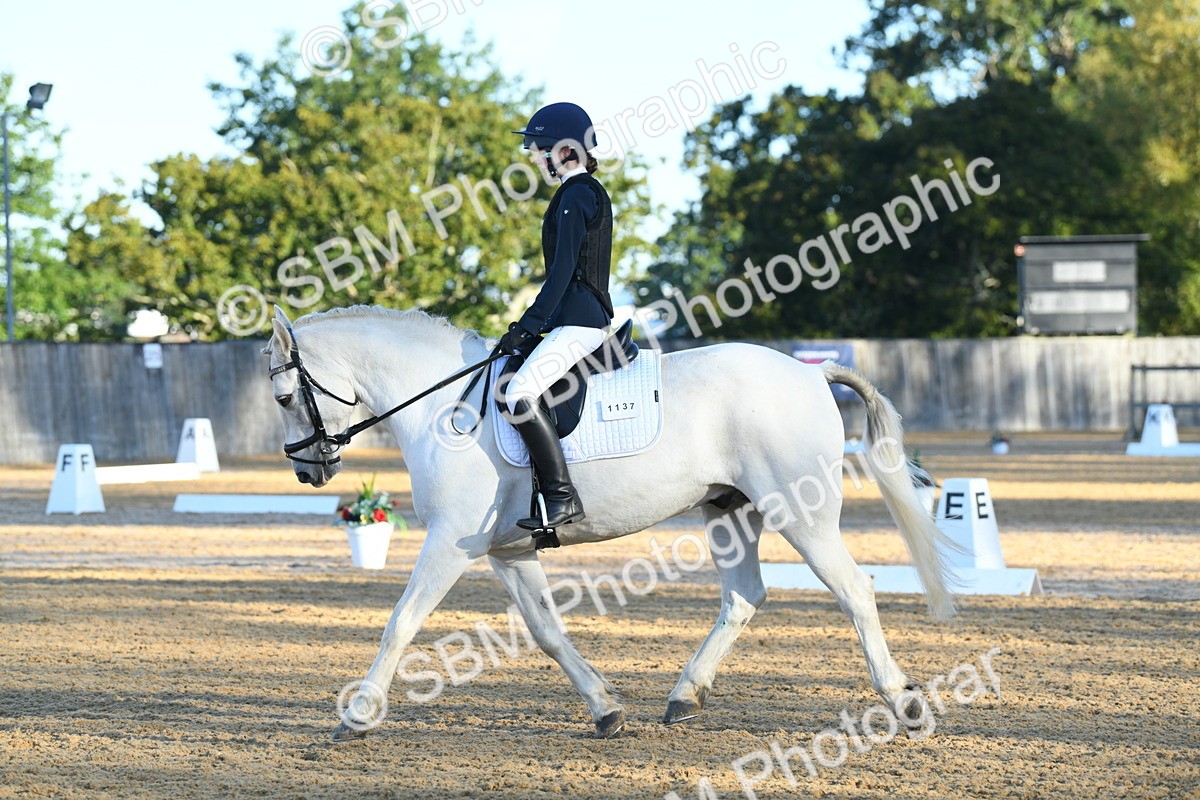 SBM_14261 - D4 - Small Tour Championship - Intro B