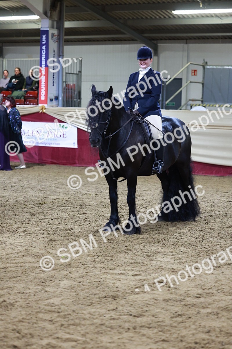SBM_21371 - Class T - Working Veteran Champs