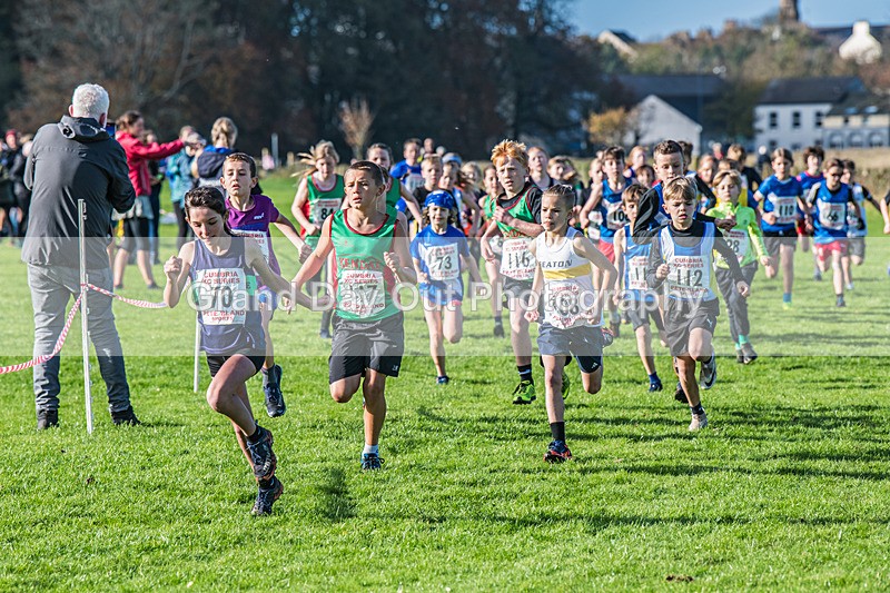 Cumbria XC-66 - Cumbria XC League Workington Saturday 26th October 2024