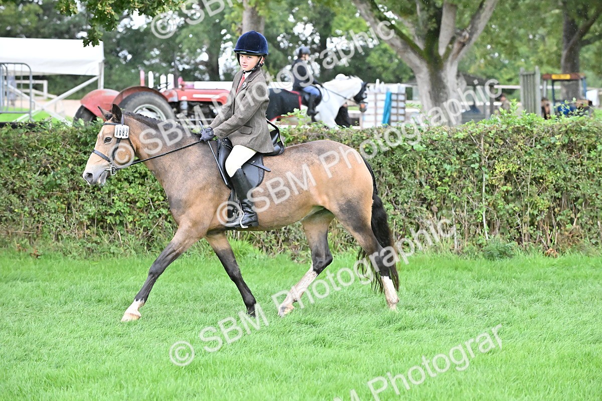SBM_42954 - S12 - Family Horse & Pony
