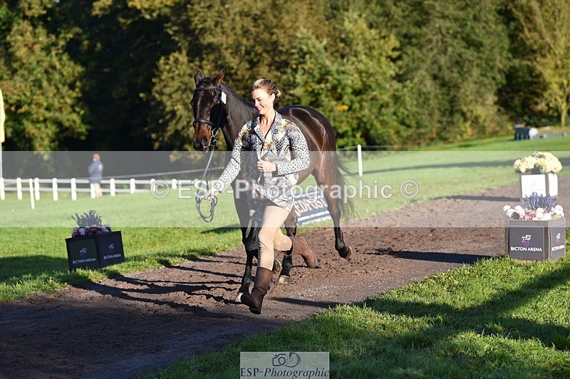 231022-093346-21877 - 502-REBEL.ON.THE.RUN-Ida.Strandberg-TrotUp+SJ