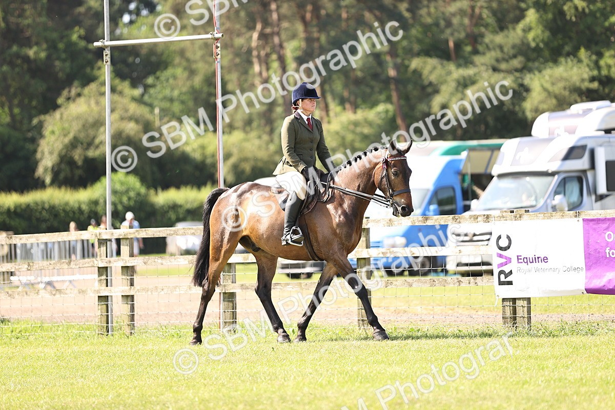 SBM_12969 - Class 75-76 LIHS BSHA Rising Star Hack Riding Horse