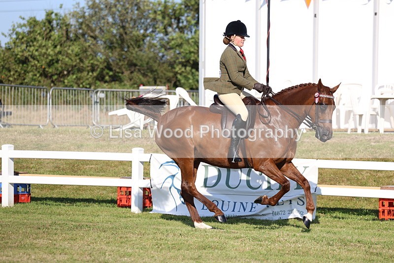 3E7A5088 - Class 1: Rising Star Small Hack/Riding Horses