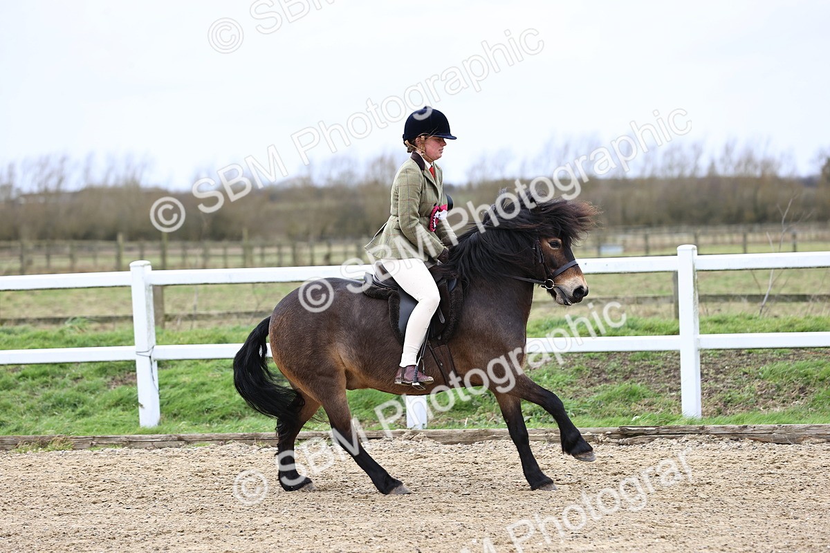 SBM_006879 - Class 29 - 30 - M&M Pure Novice Small-Large Breeds