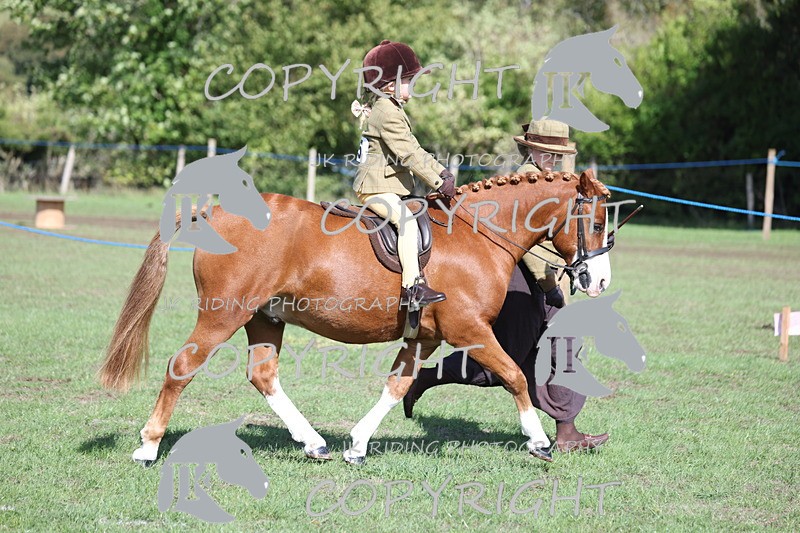 APP_3850 - Class 13 Lead rein