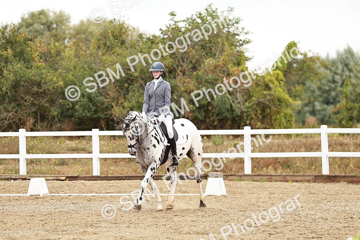 SBM_002664