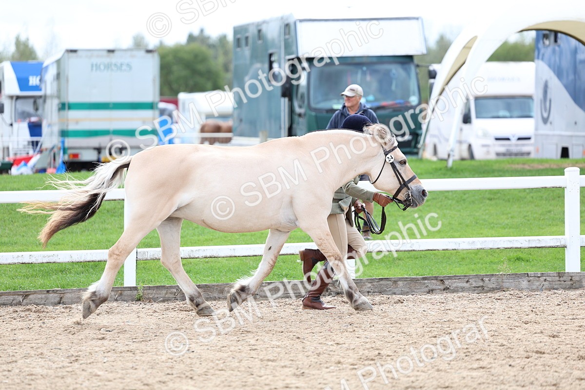 SBM_03916 - Class 25 - IH Foreign Breeds - Pure Bred
