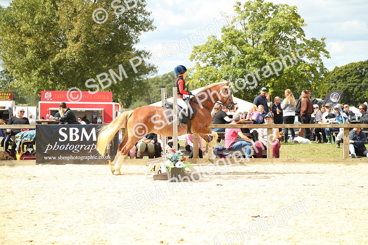 SBM_41361 - J6 - Junior Pony 55cm Championships