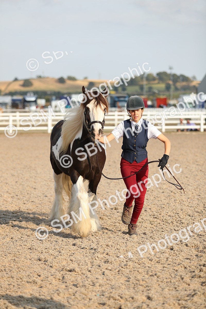 SBM_09080 - Class 29 IH Veteran Pony