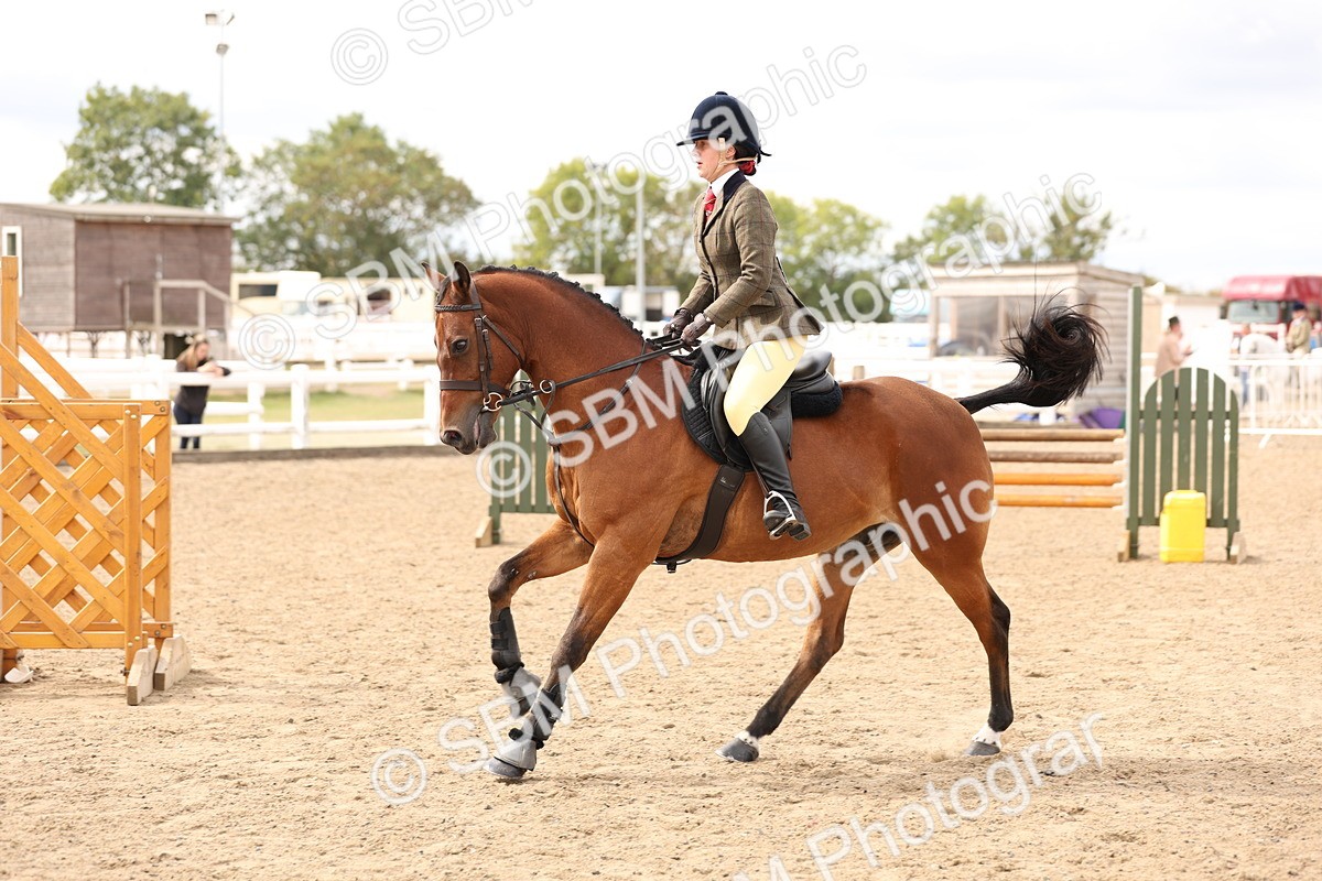 SBM_05115 - Class 56a -  Style & Performance - 50cm (15-19)
