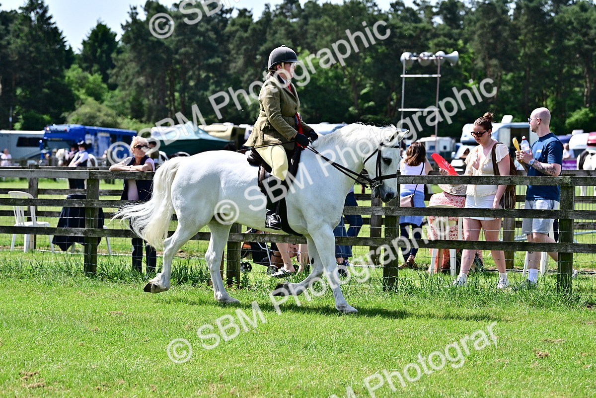 SBM_03933 - Class 58 - TSR  Ridden Veteran Amateur of the year