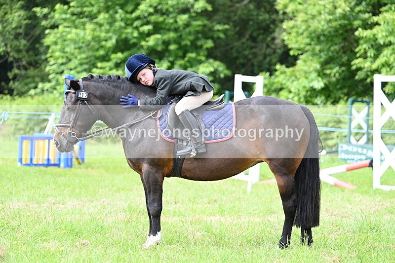 WJ7_0930 - Class 8 First Rally Pony