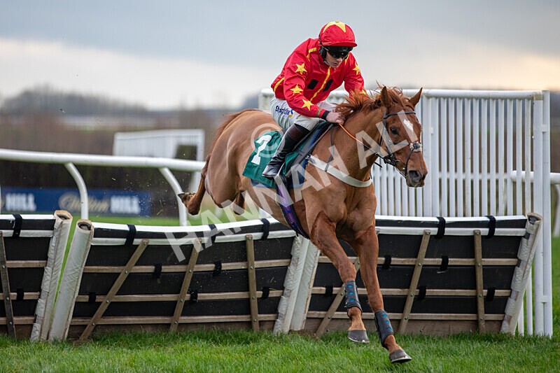 171224-Race 4-Wise Eagle-0163 - Race 4