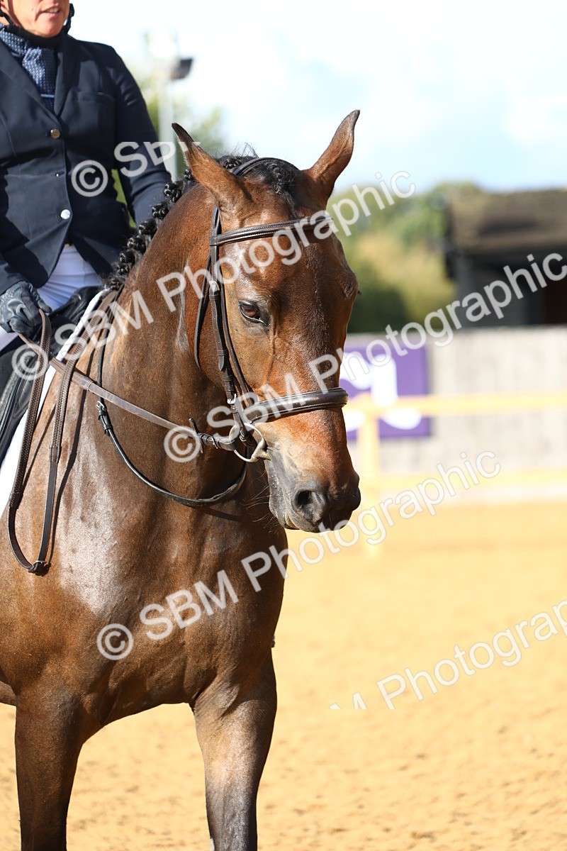 SBM_31497 - D11 - Small Tour Championship Prelim 1