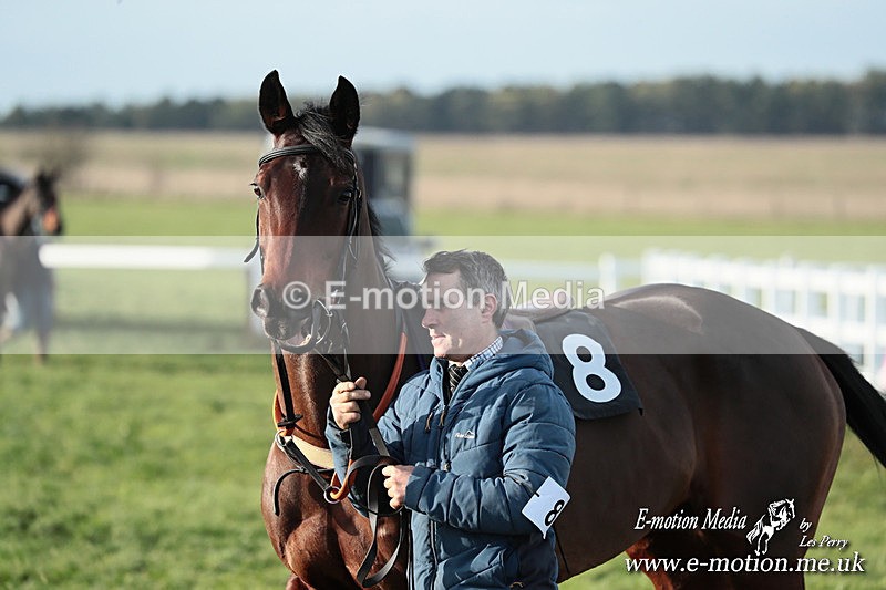 PtP 141225  1223 - New Forest Hounds PtP Larkhill 14/12/25