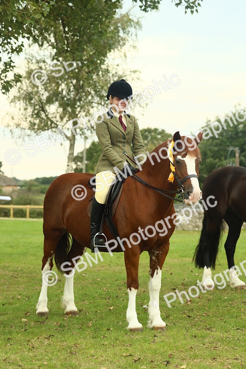 SBM_72334 - S60 - Mountain & Moorland Ridden Large Breeds