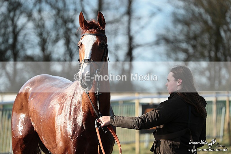 PtP 240126 680 - Cambridgeshire & Enfield Chase PtP Horseheath 24/01/26