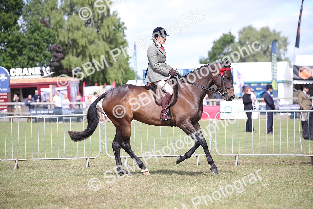 SBM_13324 - Class 95-96 - LIHS BSHA Rising Star Hack Riding Horse