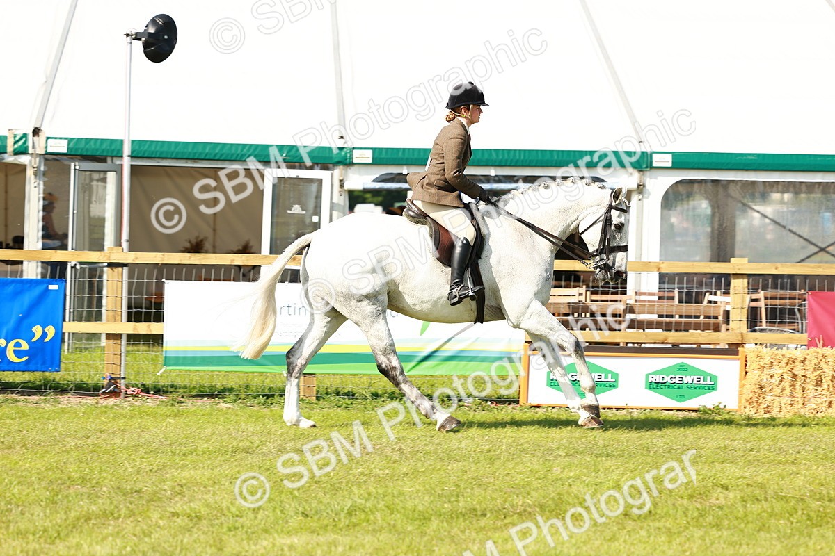 SBM_11961 - Class 66-69 - RIHS Ridden Hunters Inc Small Hunter