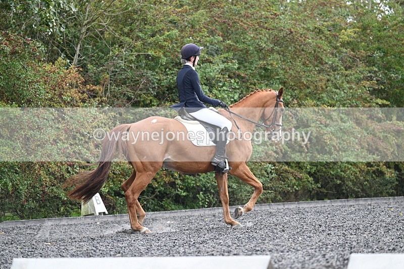 WJ7_6765 - Time 14:49 to 15:14