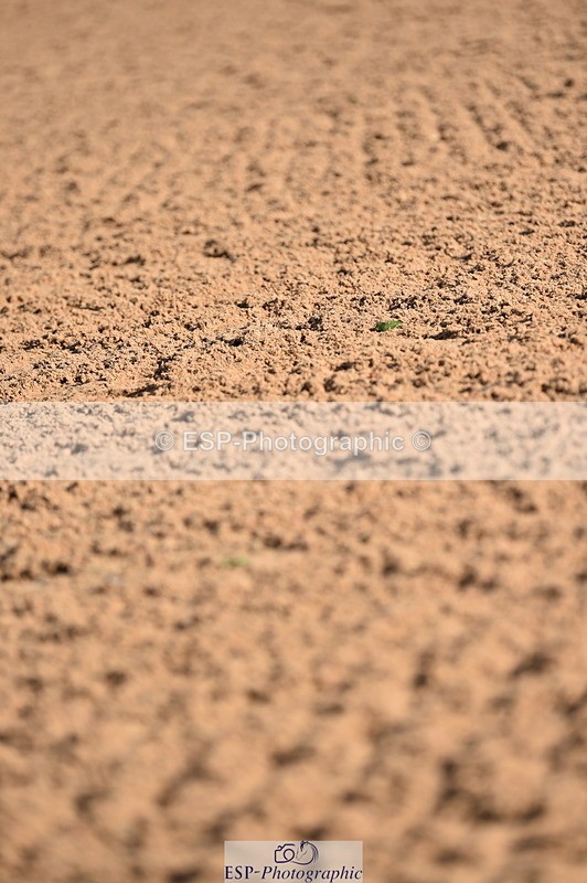 231105A-120816-00744 - 80cm