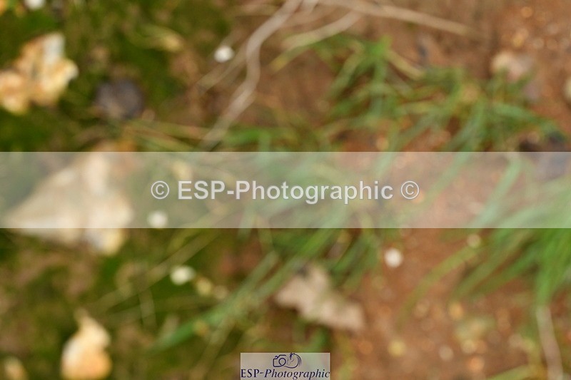 240121A-132958-00174 - Cls 10+11 Medium 69 and 75