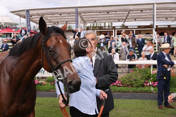 yr19082022r5-48 - Race 5 4.10pm Assured Data Protection EBF Fillies' Stakes