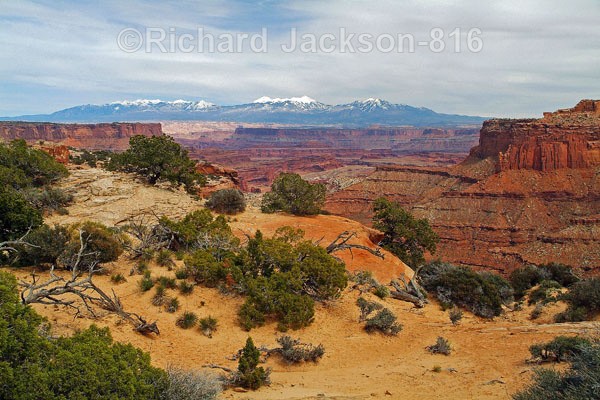 Distant Snowcaps - Canyonlands National Park