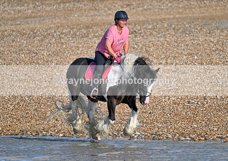 WJ7_3795_1 - Kellie & Churchill ... do Hayling Island 25-08-24