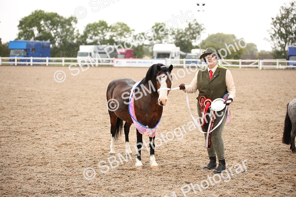 SBM_20258 - Class 704 - IH Rescue