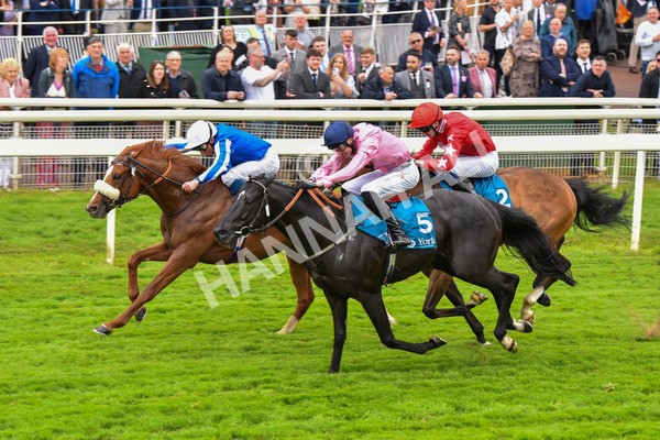 190523-Race 3-Marhaba The Champ-0648 - Race 3 3.00pm Knights Solicitors Handicap