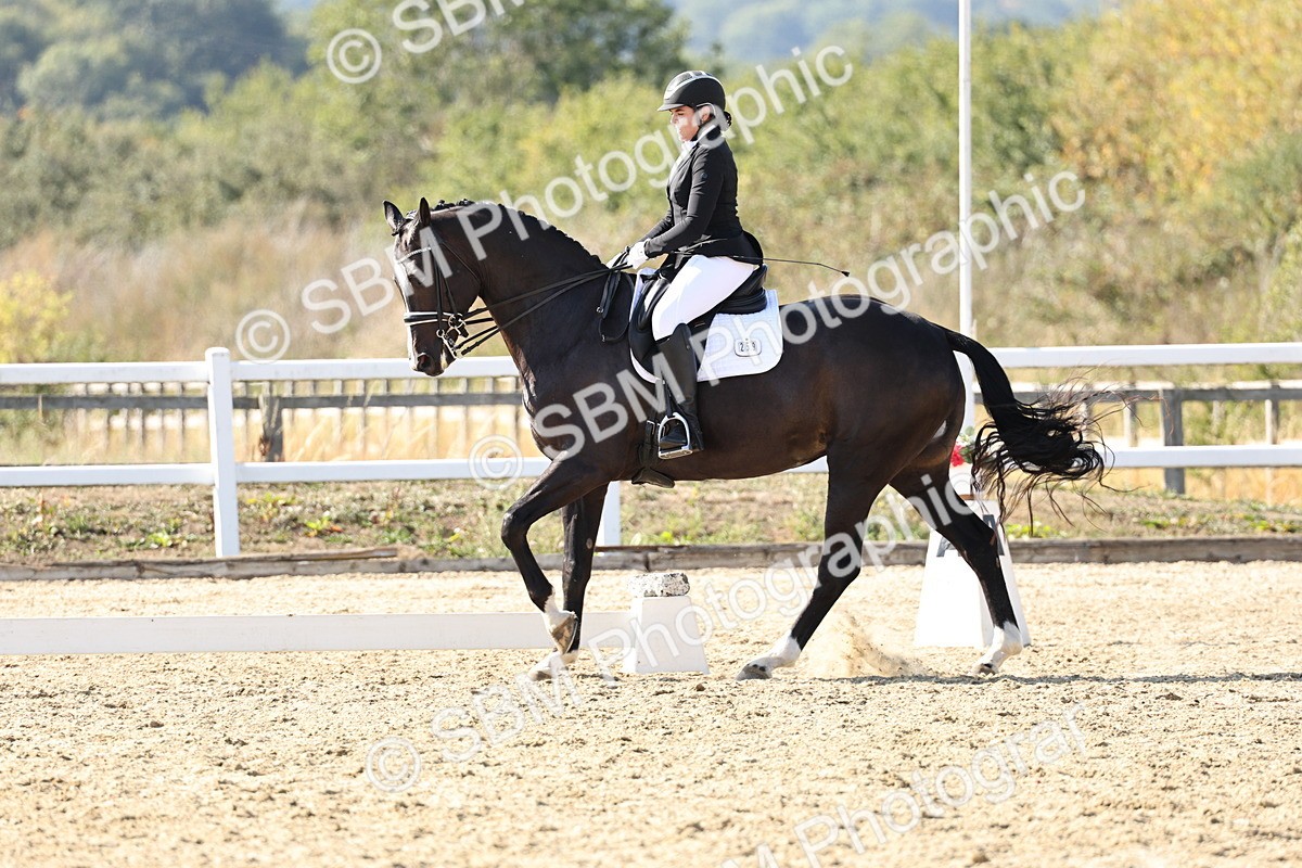 SBM_015341 - Class 9 - Advanced medium 3