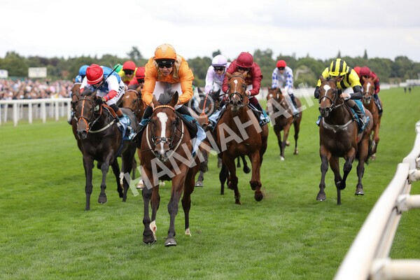 yr17082022r7-27 - Race 7 5.20pm Sky Bet Nursery Handicap