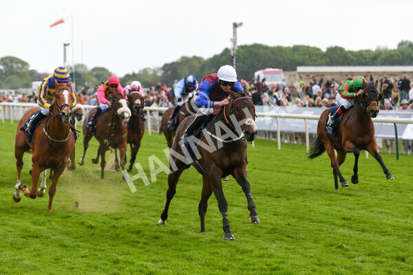 yr13052022r7-33 - Race 7 5.15pm Longines Irish Champions Weekend Stakes