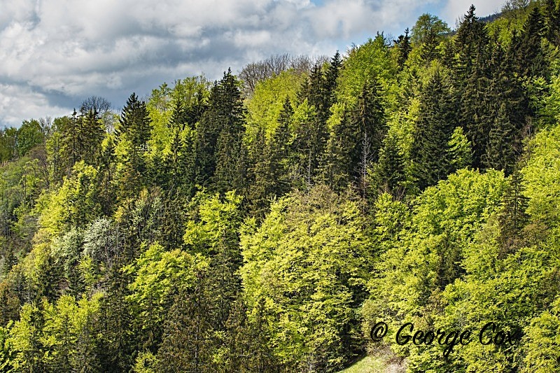 Vercors Landscape - Vercors Landscapes