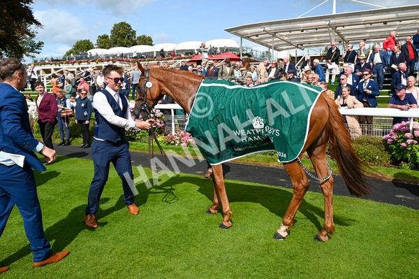 230824-Race 2-Vauban-8658 - Race 2 2.25pm Weatherbys Hamilton Lonsdale Cup Stakes