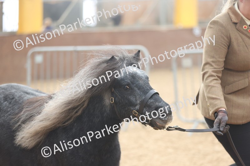 20251109-0039 - Class 3 - 2 and 3 Year Old