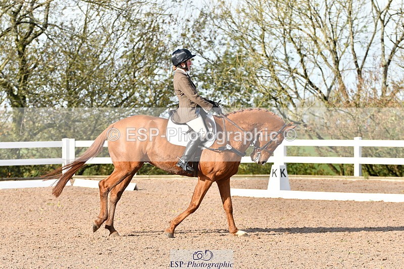 231104A-121519-00405 - Cls 7 Elementary 43