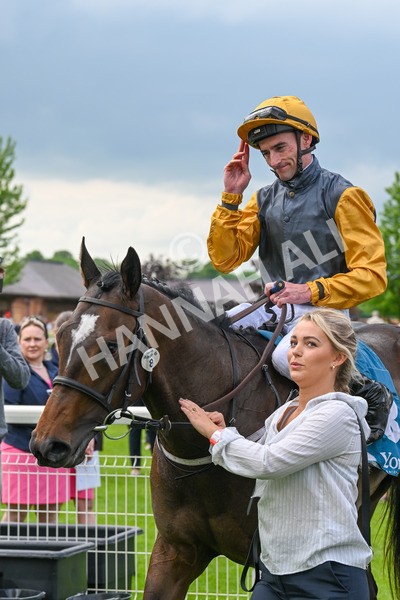 150524-Race 6-Shadow Army-4633 - Race 6 4.45pm British Stallion Studs EBF Novice Stakes