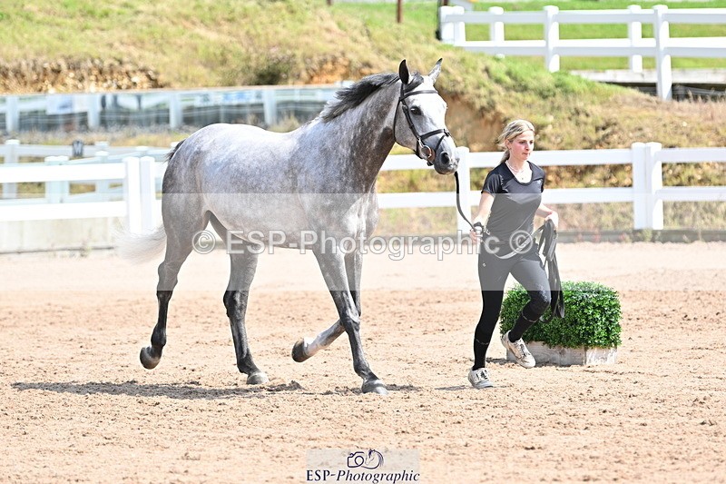 240717A-150906-02581 - Trot Up 3pm to 4pm