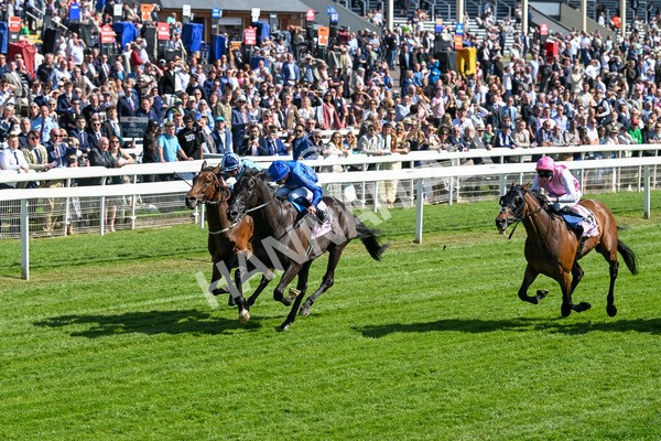 160525-Race 4-Rebels Romance-6702 - Race 4 3.45pm Boodles Yorkshire Cup Stakes